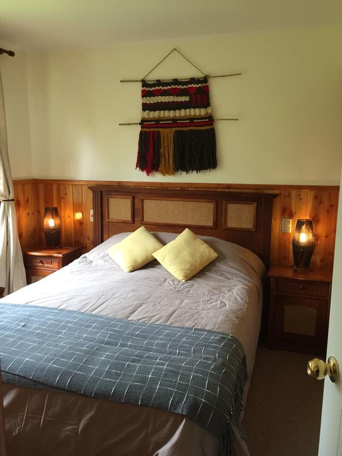 Depto 800 Apartment Pucon