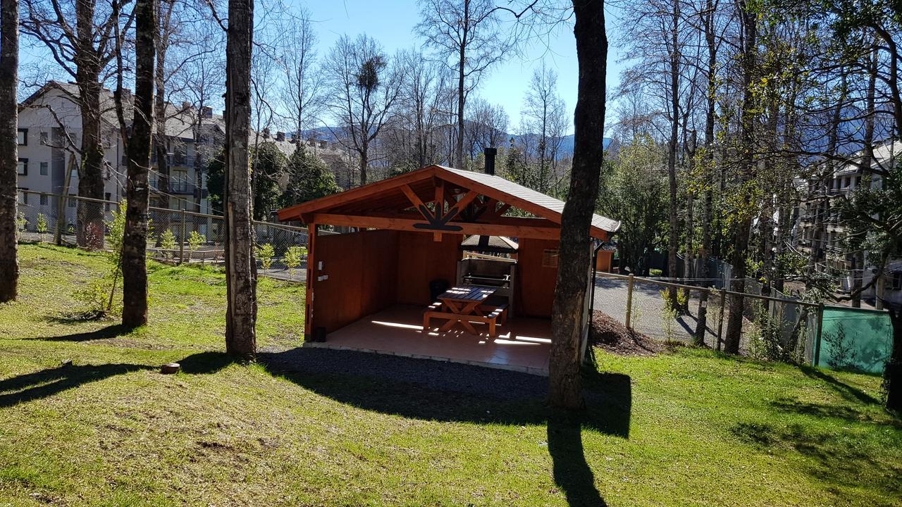 Apartment Depto 800